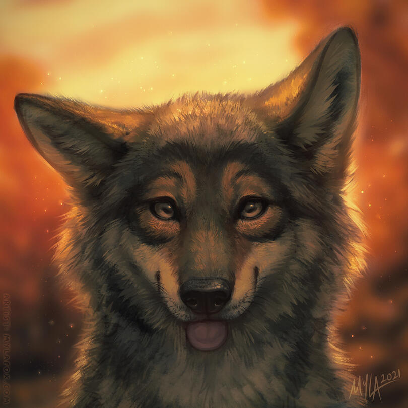 © MylaFox. All rights reserved.