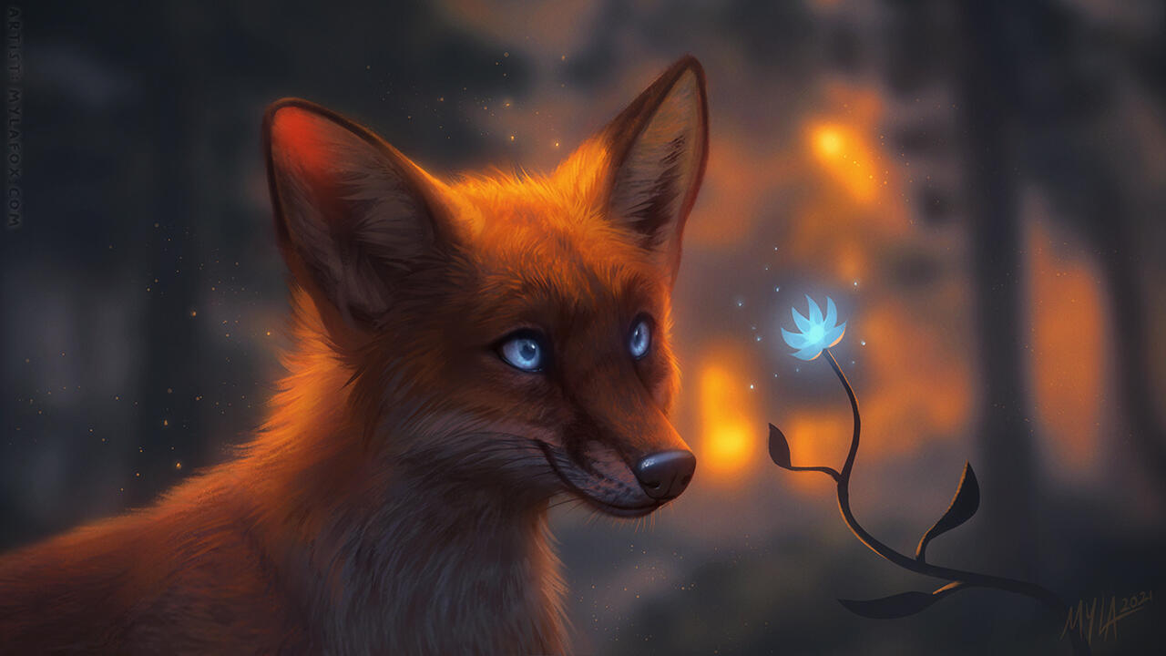 © MylaFox. All rights reserved.